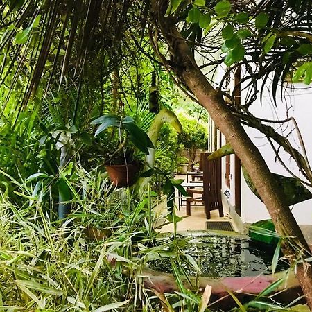 Green Jade Inn Mirissa Dış mekan fotoğraf