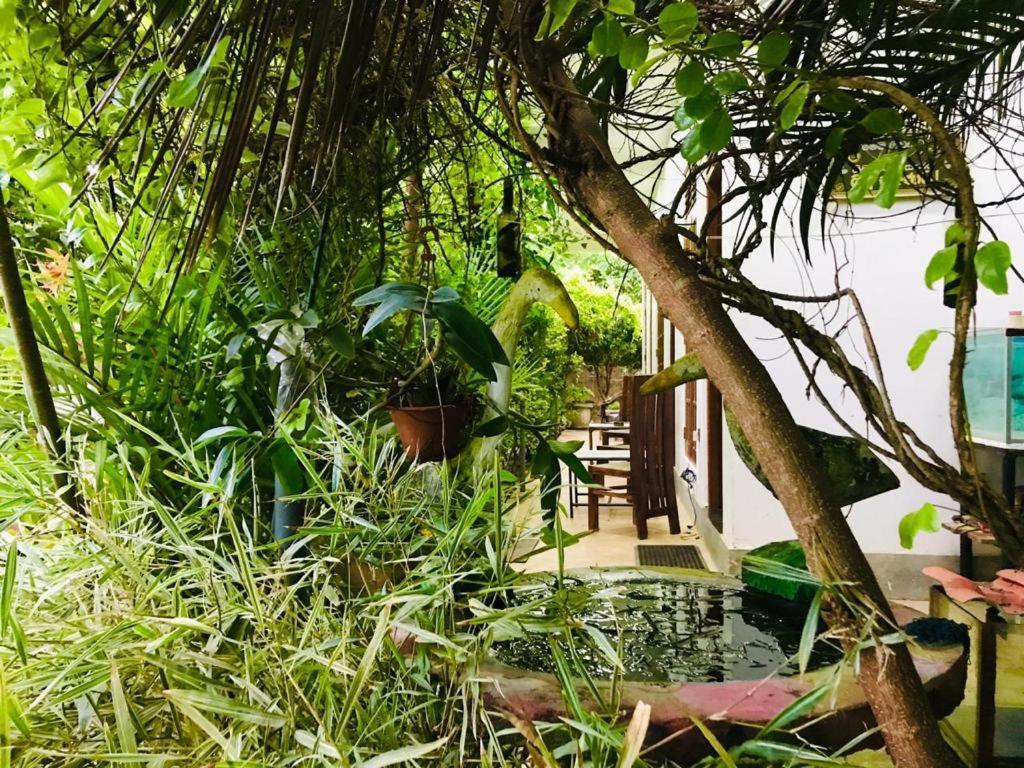 Green Jade Inn Mirissa Dış mekan fotoğraf